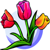 Tulips Drag & Drop Puzzle