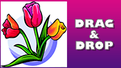 Tulips Drag & Drop Puzzle