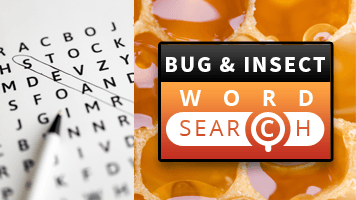 5 Free Online Word Search Games