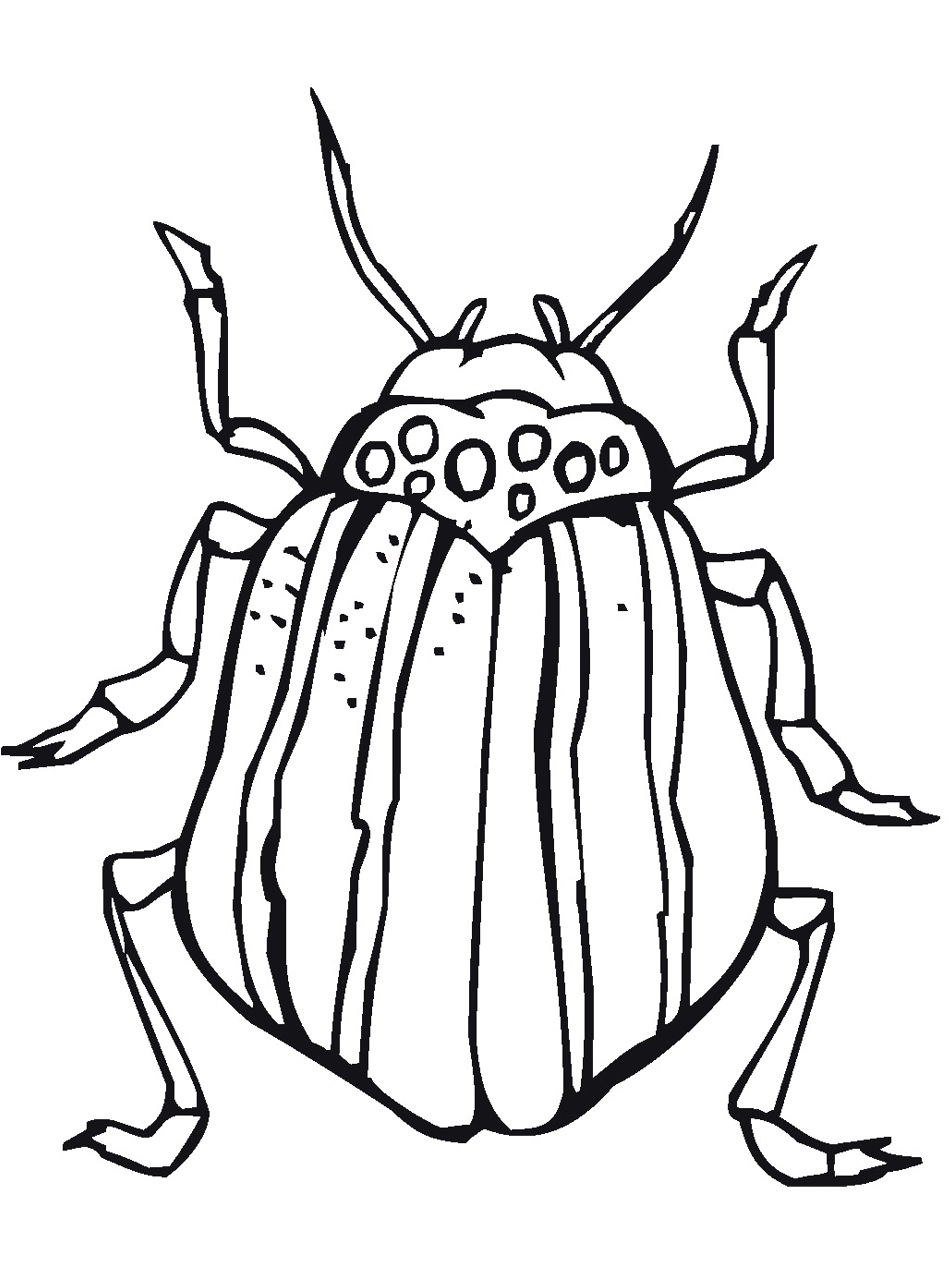 Bug & Insect Coloring Pages - PrimaryGames.com