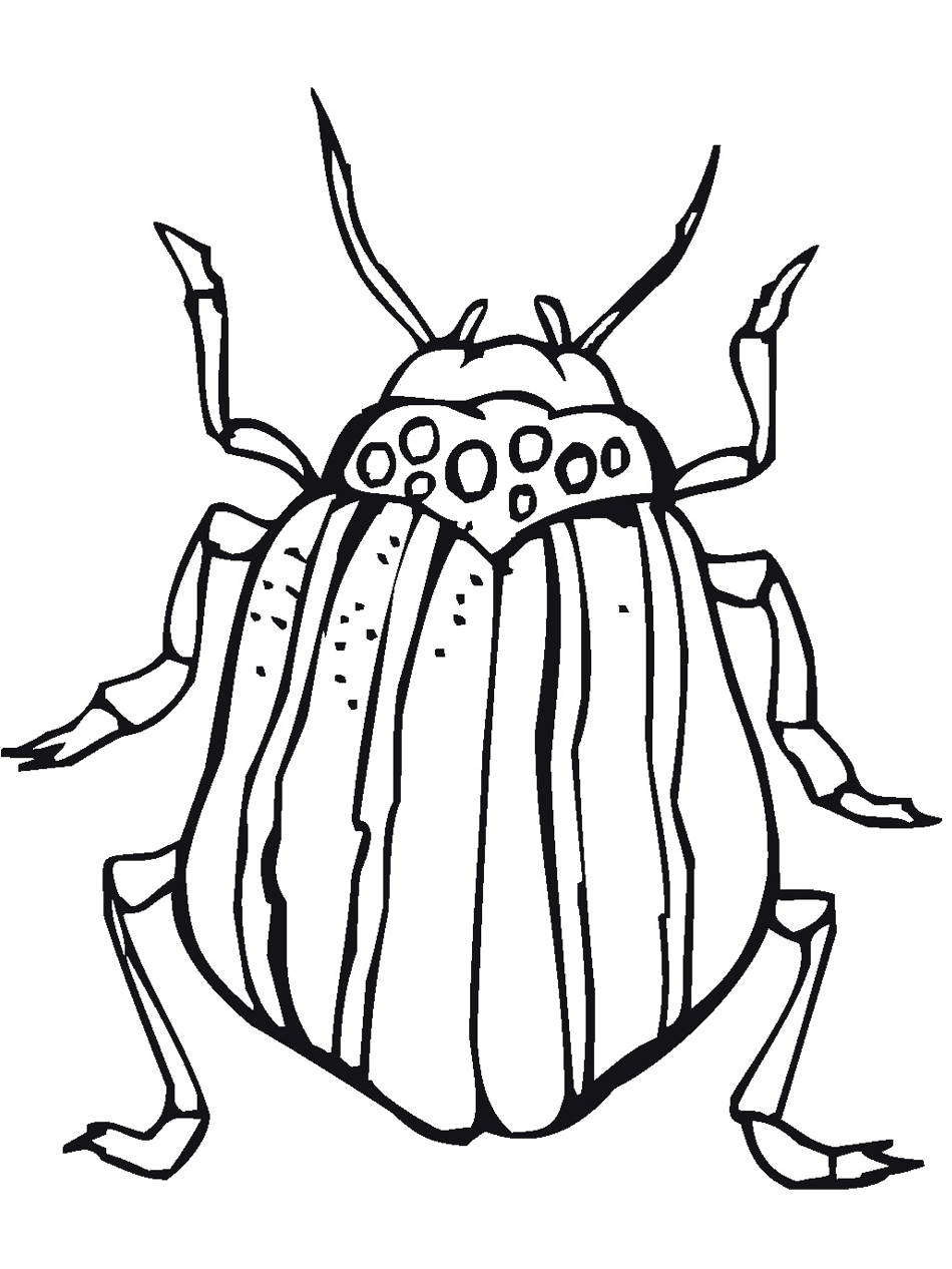 Bug Insect Coloring Pages PrimaryGamescom