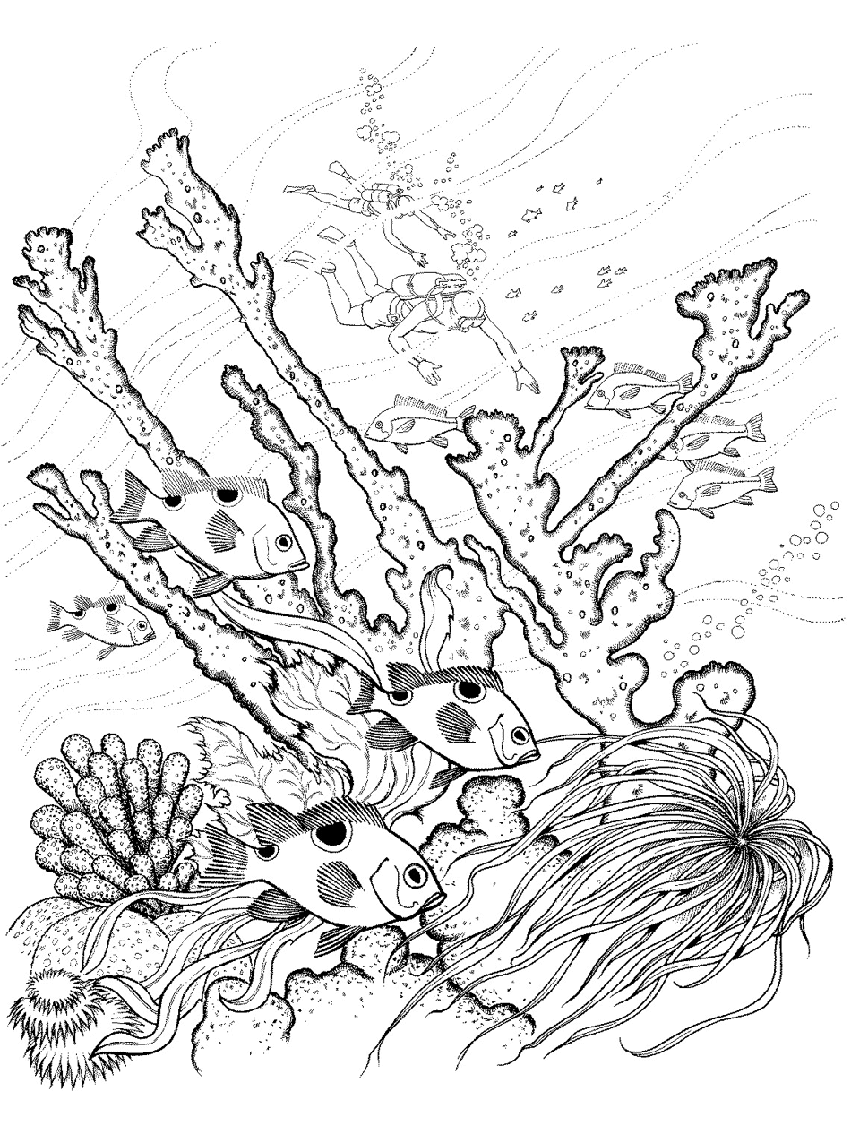 ocean coloring pages primarygames com