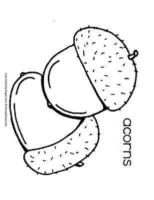 Acorns Coloring Page