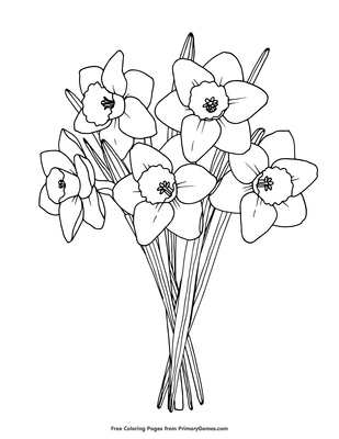 Coloring Pages For Children About Daffodils