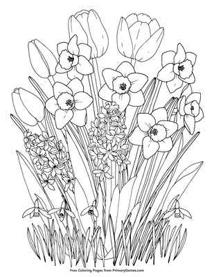 spring flowers coloring page • free printable pdf from