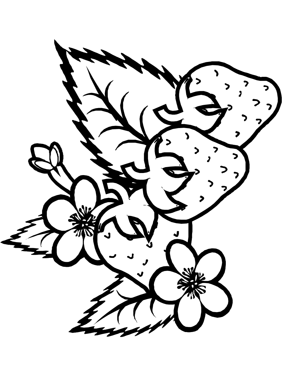 Free Summer Printable Coloring Pages 9