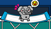 Animal Olympics Trampoline