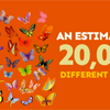 Highlights Kids: Did You Know: Butterflies
