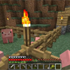 Pig Farm