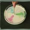Mouse in the House: Rainbow Milk